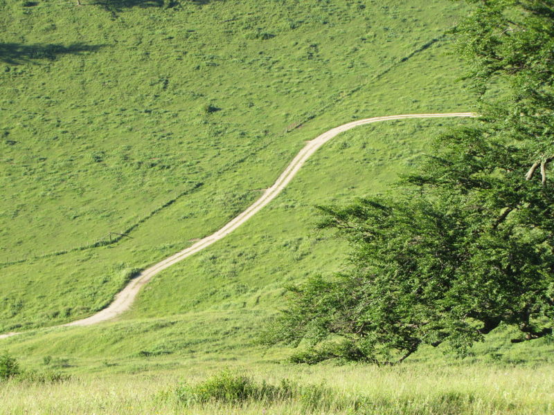 Datei:Eisenstein-Weg Alm.jpg