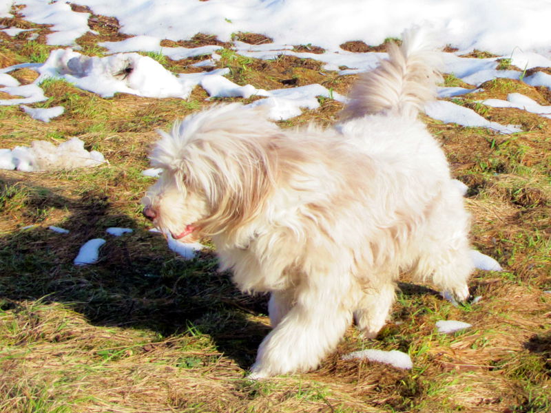 Datei:Paula März 2013 0.jpg