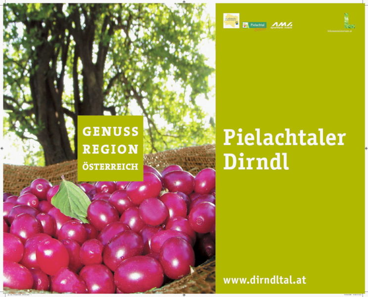 Datei:GR Pielachtaler Dirndl.jpg