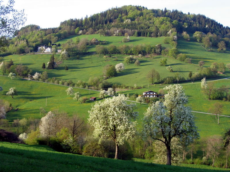 Datei:Fronberg Frühjahr1.jpg