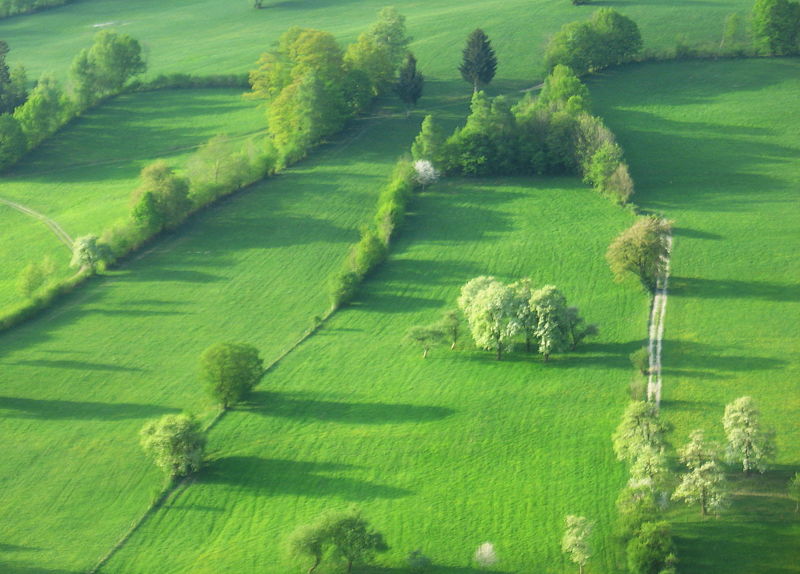 Datei:KL Tradigist Frühling.jpg