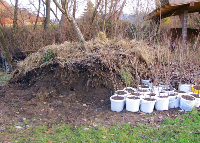 Datei:SG Dirndl topfen Hügelbeet.jpg