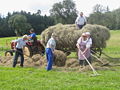 Heufest - Heu laden.jpg