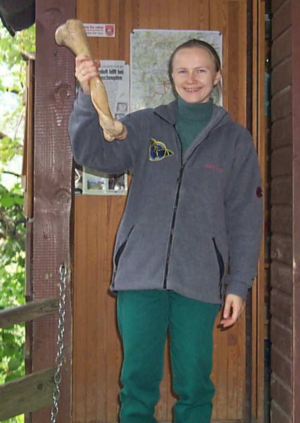 Datei:Nixhöhle Bärenknochen.jpg