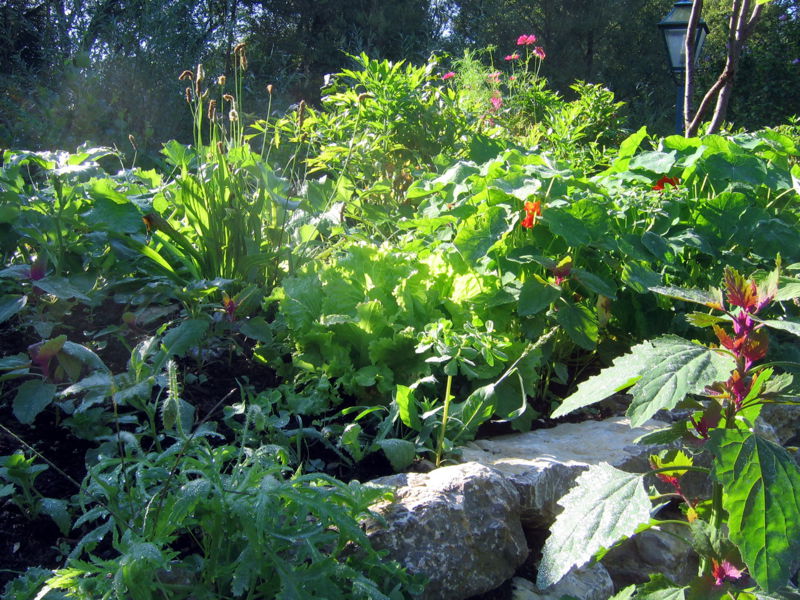 Datei:SG-Vielfalt Hochbeet.jpg