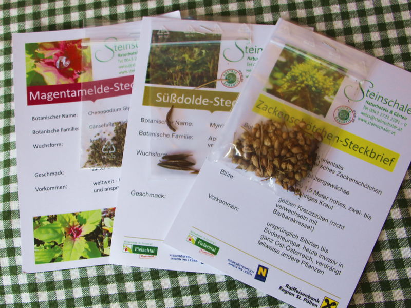 Datei:Steinschaler Samenkarten.jpg