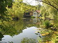 Teichbrücke Seerosen.jpg